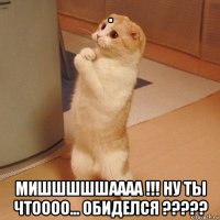 . мишшшшшаааа !!! ну ты чтоооо... обиделся ?????