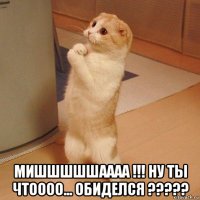  мишшшшшаааа !!! ну ты чтоооо... обиделся ?????