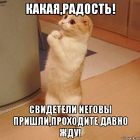 какая,радость! свидетели иеговы пришли,проходите давно жду!