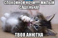 спокойной ночи!!!! милый сашенька! твоя анютка