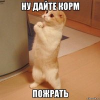 ну дайте корм пожрать