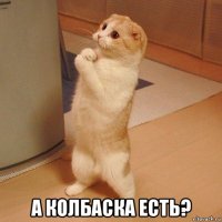  а колбаска есть?