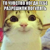 то чувство когда тебе разрешили погулять 