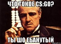 что токое cs:go? ты шо ебанутый