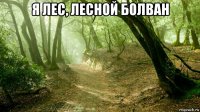 я лес, лесной болван 