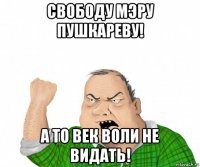 свободу мэру пушкареву! а то век воли не видать!