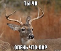 ты чо олень что-ли?