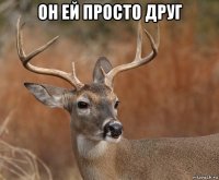 он ей просто друг 