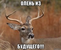 олень из будущего!!!