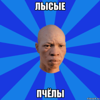 лысые пчёлы