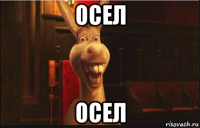 осел осел