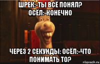 шрек:-ты всё понял? осёл:-конечно через 2 секунды: осёл:-что понимать то?