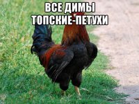 все димы топские-петухи 