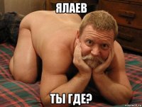 ялаев ты где?