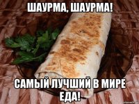 шаурма, шаурма! самый лучший в мире еда!