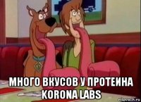  много вкусов у протеина korona labs