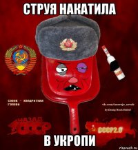 струя накатила в укропи