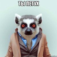 ты петух 