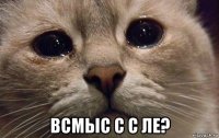  всмыс с с ле?