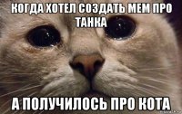 когда хотел создать мем про танка а получилось про кота