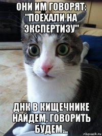 они им говорят: "поехали на экспертизу" днк в кищечнике найдем, говорить будем...