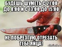 будешь шуметь с 21:00 до 8:00 и с 13:00 до 15:00 не побрезгую отрезать тебе яйца!