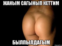 жаным сагынып кеттим былпылдагым