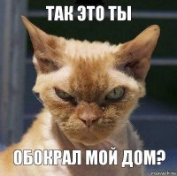 так это ты обокрал мой дом?