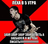 лёха в 5 утра заур заур заур заур ответь а заебался я же тебе писать!!!!!!!!!!!!!!!!!!!!