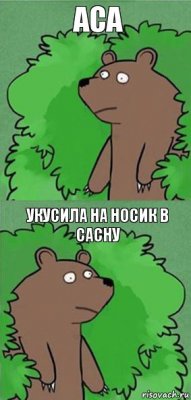 аса укусила на носик в сасну