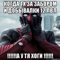 когда тх за забором и добывалки 12 лвл !!!!!!а у тя хоги !!!!!!