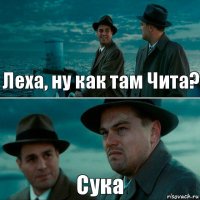 Леха, ну как там Чита? Сука