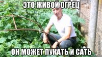 это живой огрец он может пукать и сать