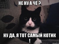 не ну а чё ? ну да, я тот самый котик !