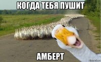 когда тебя пушит амберт