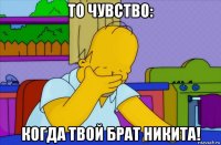 то чувство: когда твой брат никита!