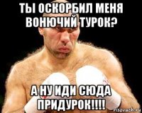 ты оскорбил меня вонючий турок? а ну иди сюда придурок!!!!