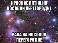 красное пятно на носовой перегородке рана на носовой перегородке