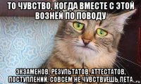 то чувство, когда вместе с этой вознёй по поводу экзаменов, результатов, аттестатов, поступлений, совсем не чувствуешь лета