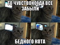 то чувствокогда все забыли бедного кота