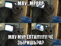 мяу...мрррр мяу мур ёпта!!11!1! чё зыришь?а?