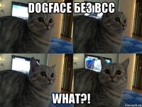 dogface без всс what?!