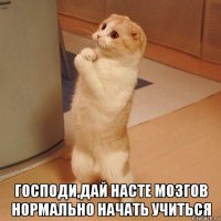  господи,дай насте мозгов нормально начать учиться