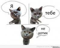 Я тебе не котик