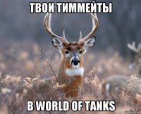 твои тиммейты в world of tanks