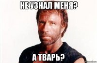 не узнал меня? а тварь?