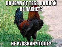 почему от тебя водкой не пахнет? не руssкий чтоле?