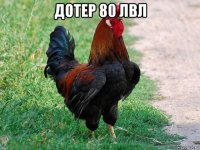 дотер 80 лвл 