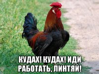  кудах! кудах! иди работать, линтяй!