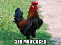  это мой сосед